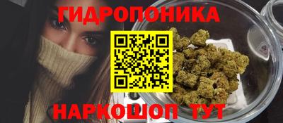 стаф Коммунар