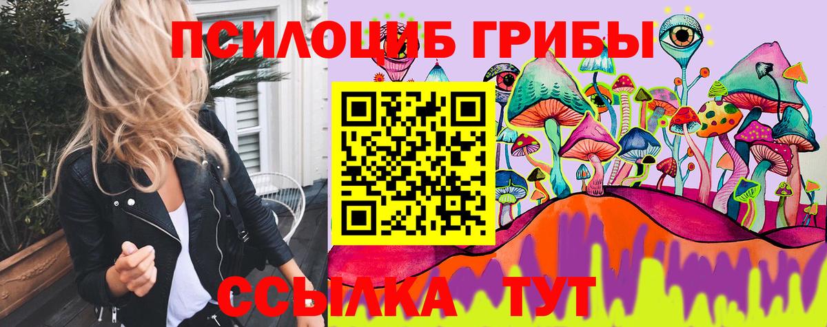 Галлюциногенные грибы GOLDEN TEACHER  Вход с VPN  где купить наркоту  Галлюциногенные грибы мухоморы  Красногорск 